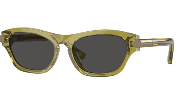 Burberry 0BE4430U