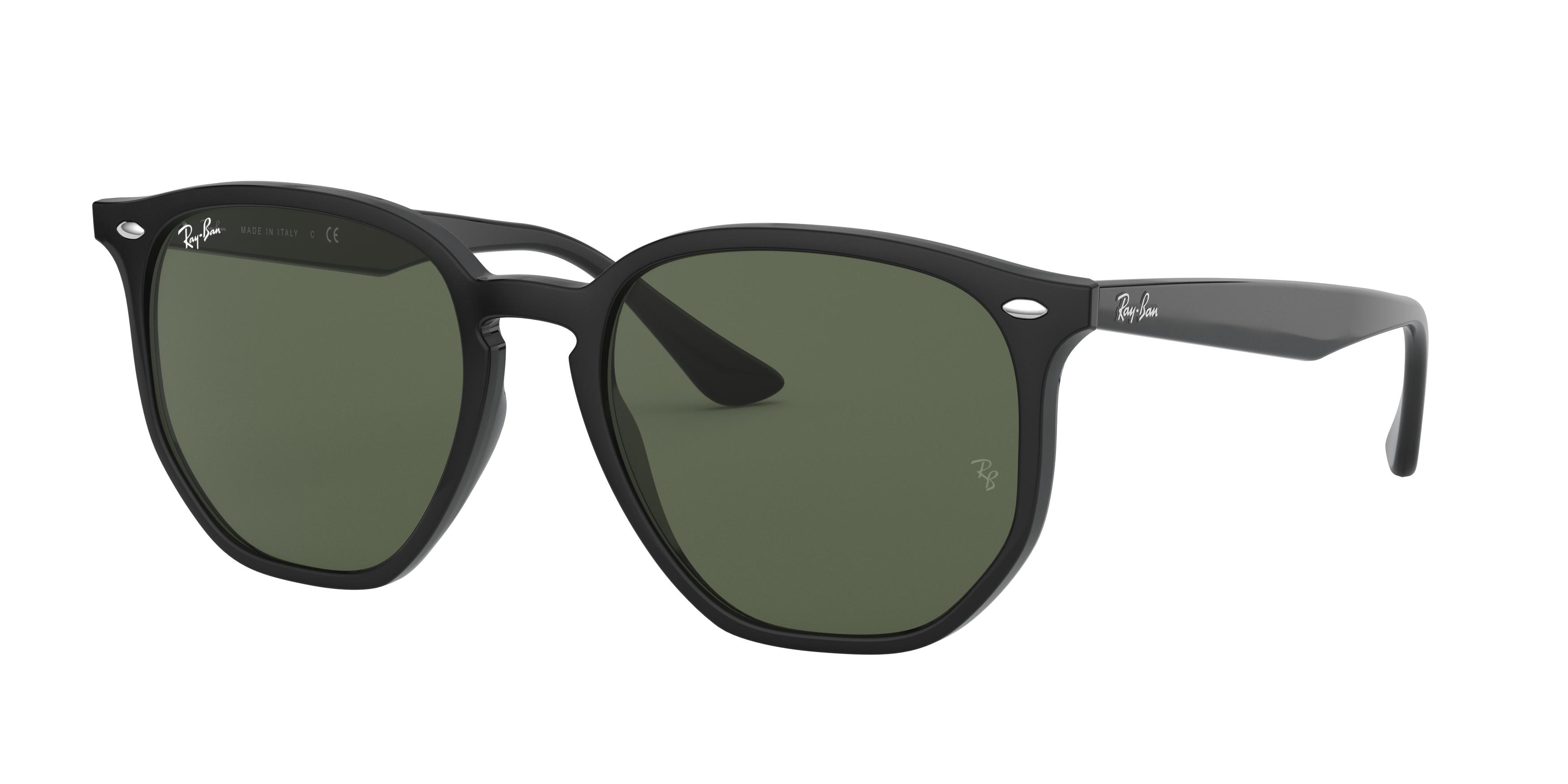 Ray-Ban 0RB4306F