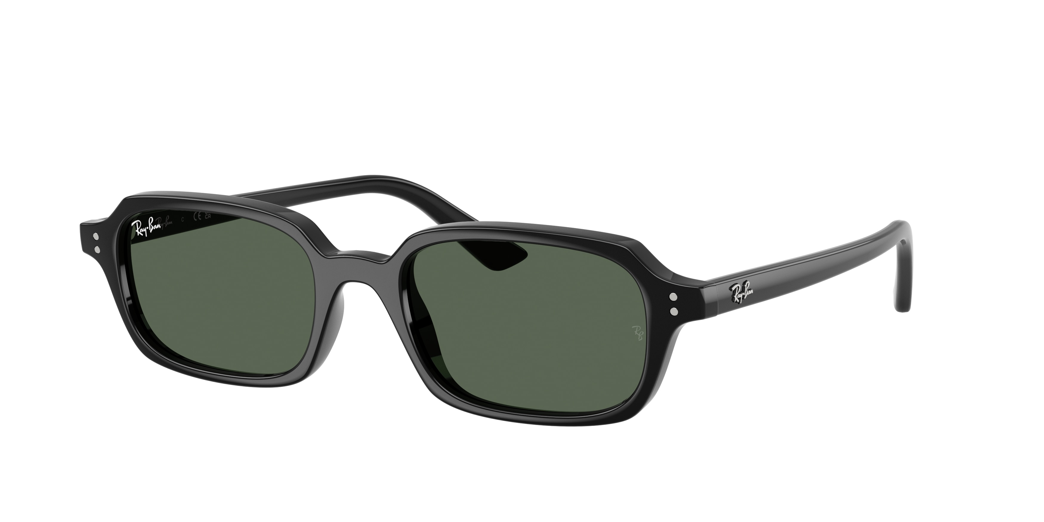 Ray-Ban 0RB4455F