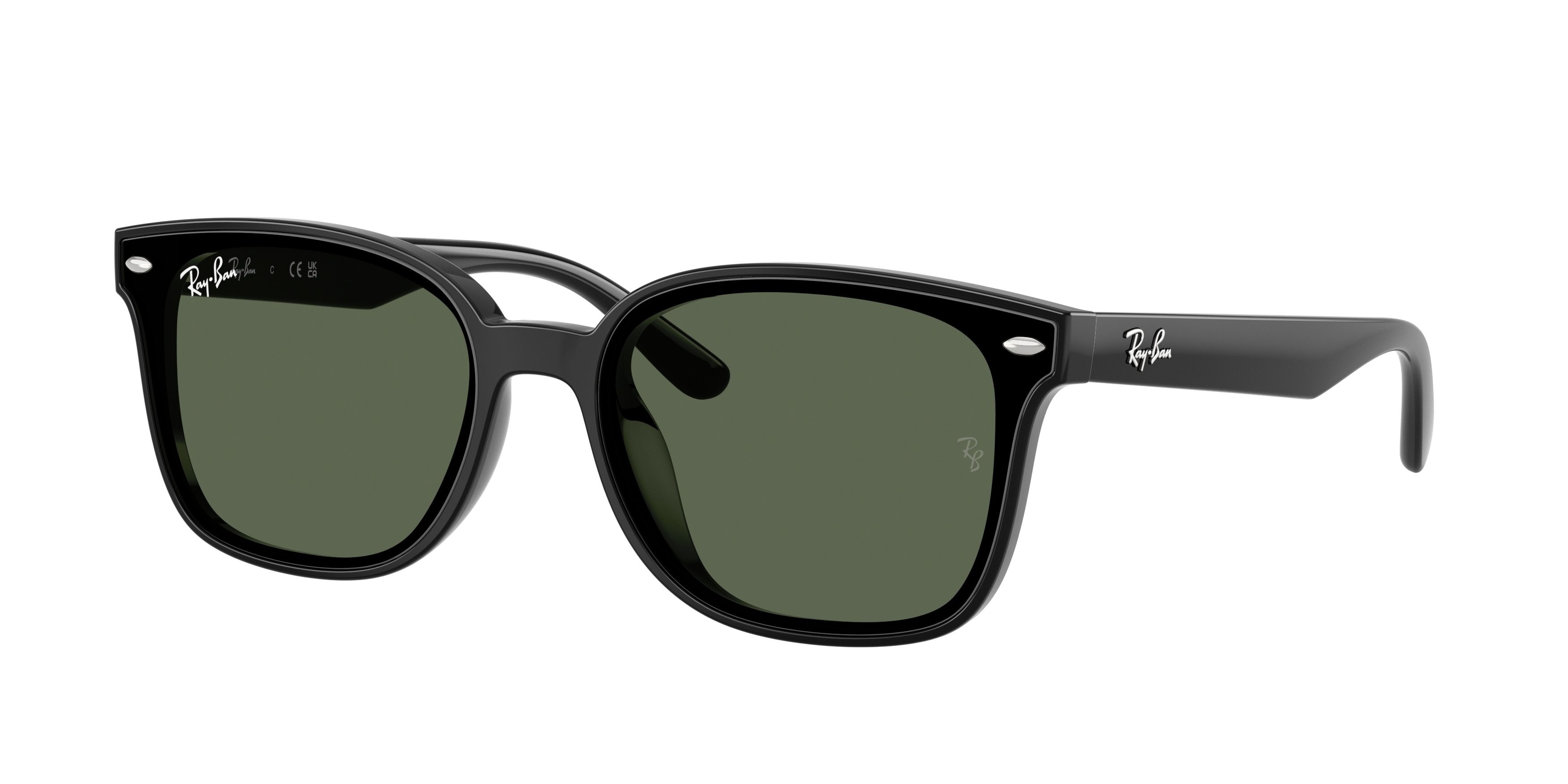 Ray-Ban 0RB4461D