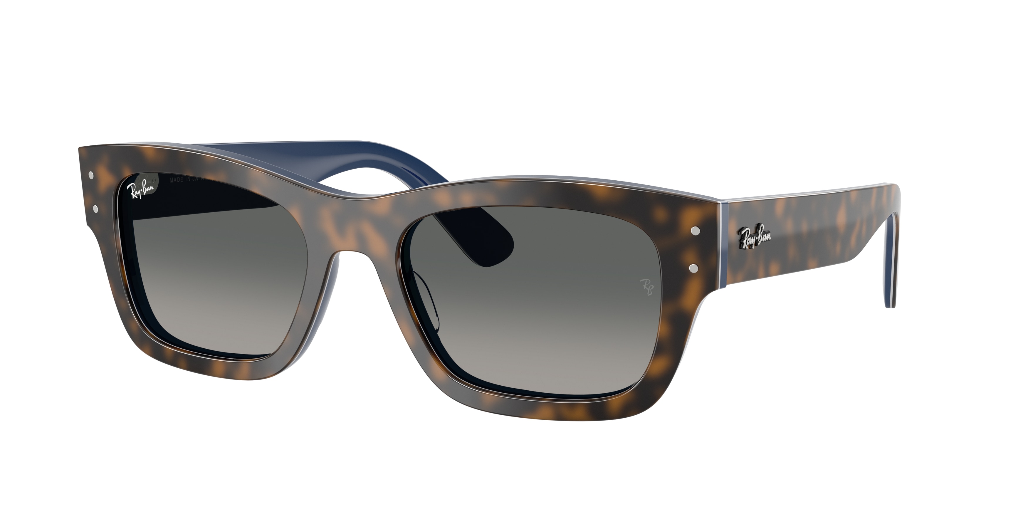 Ray-Ban 0RB7683S