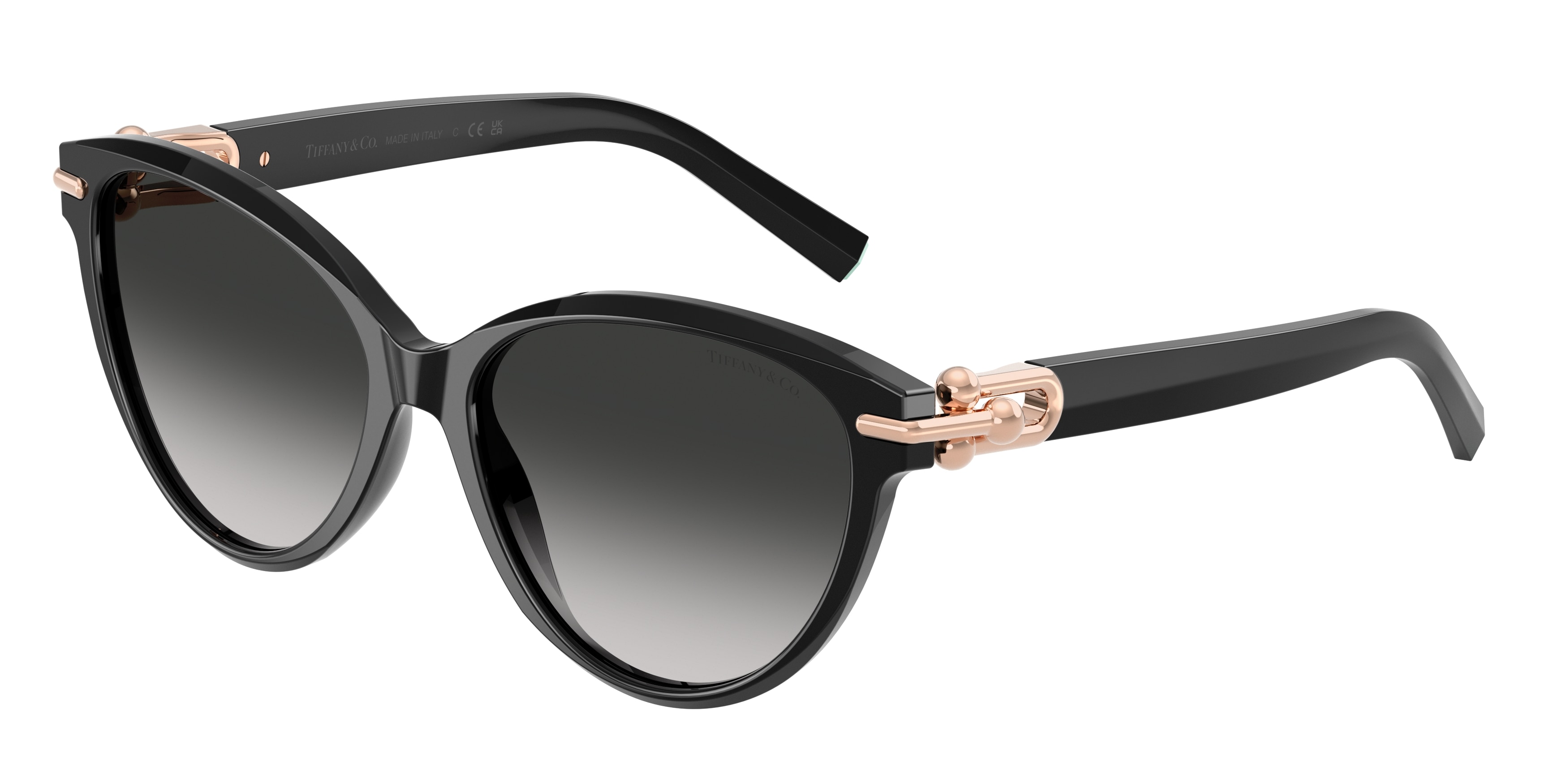 Tiffany & Co. 0TF4261F