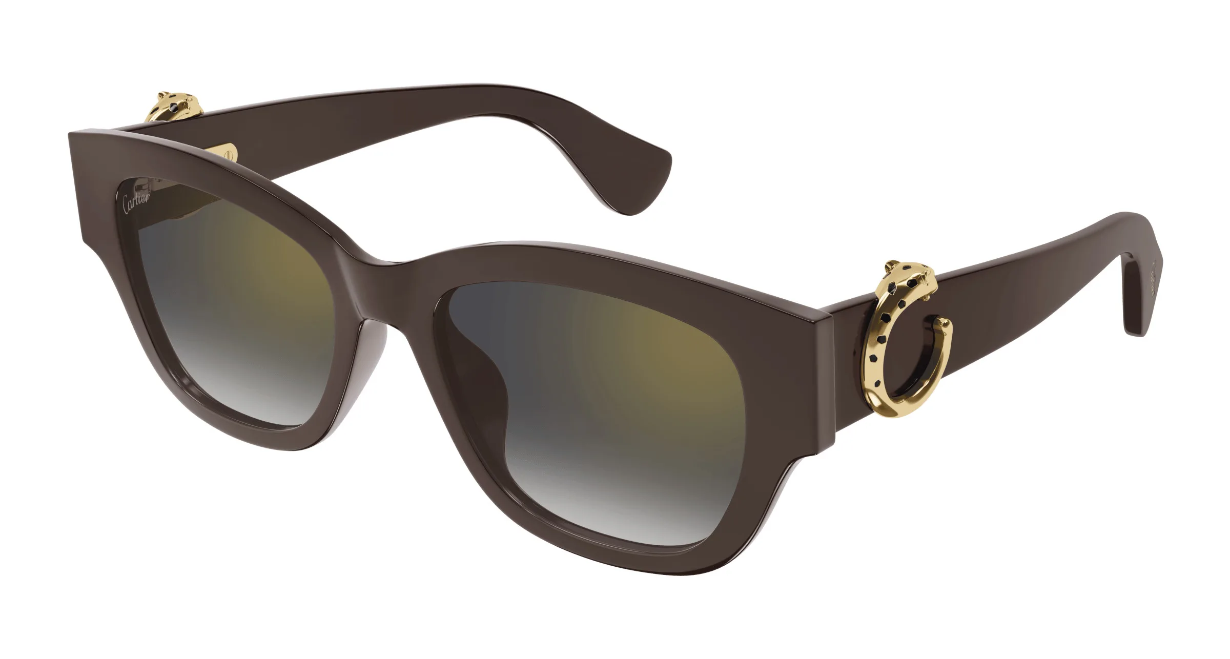 Cartier CT0548SA Brown